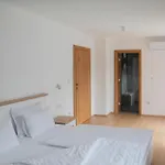 Rivus - Private Family Retreat Near Villa Sarajevo