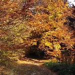 Rivus - Private Family Retreat Near